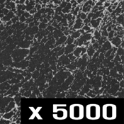 �g��摜5000�{